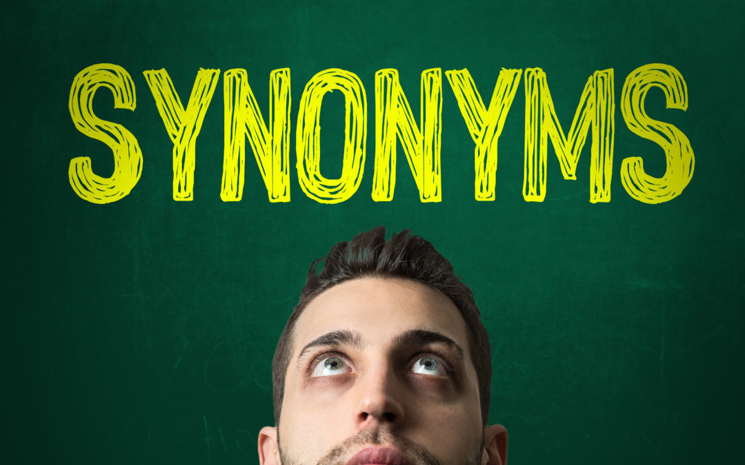 Focus on a new feature : synonyms